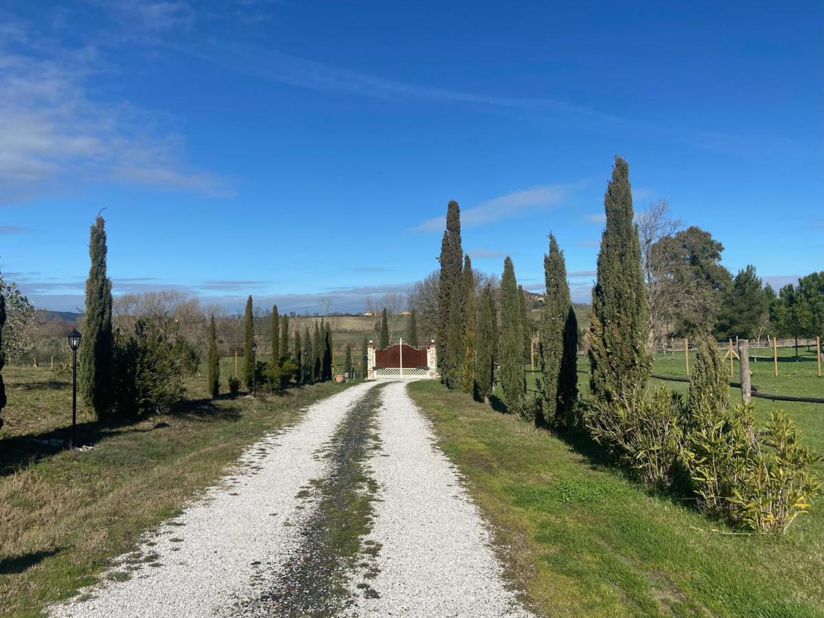 Bed And Breakfast Casale Del Sole Castellina Marittima Extérieur photo