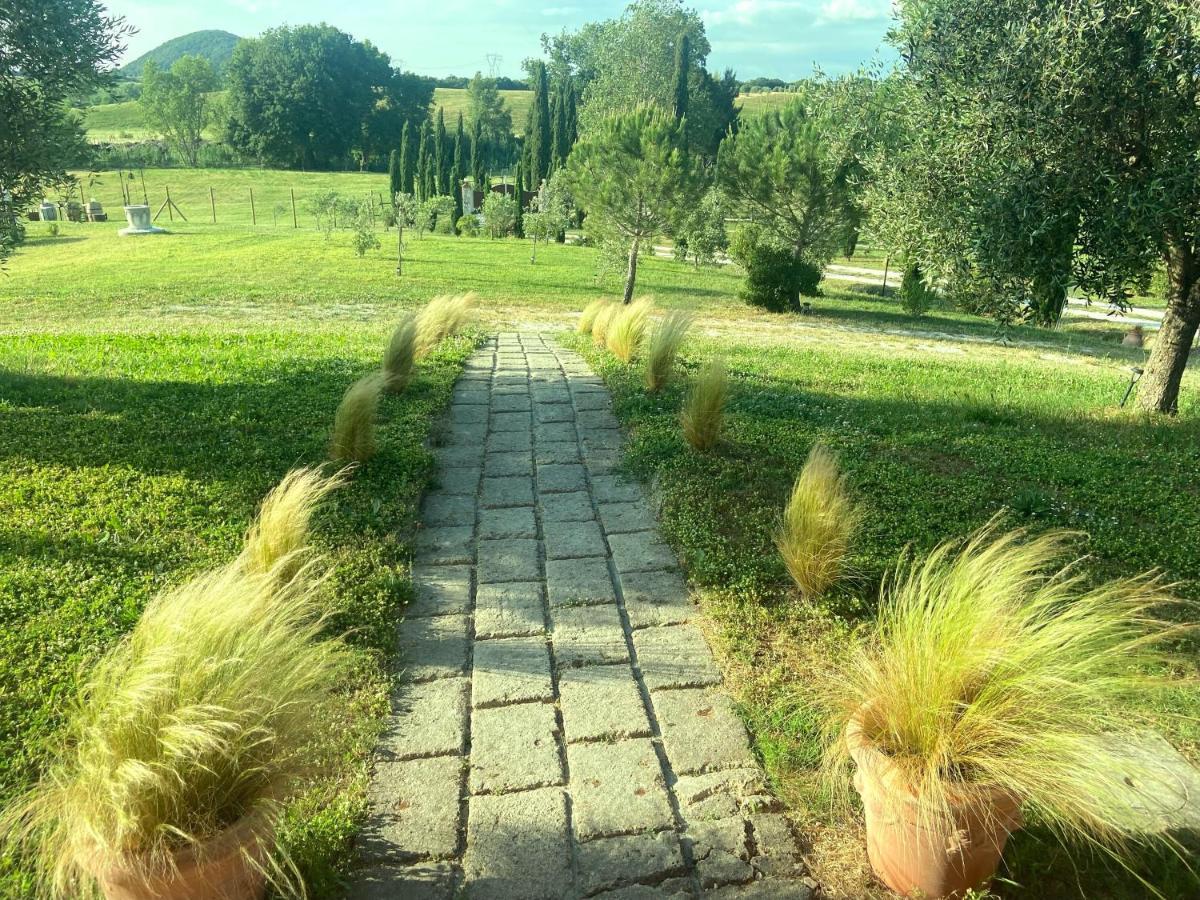 Bed And Breakfast Casale Del Sole Castellina Marittima Extérieur photo